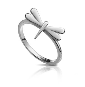 Dragonfly Heart