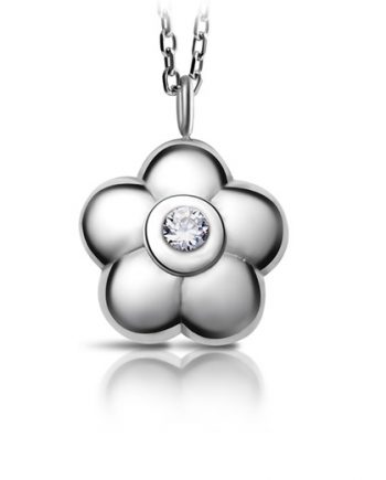 Plump Daisy