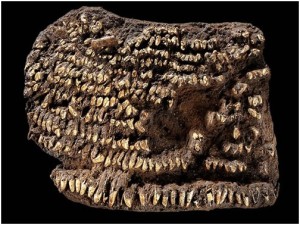 oldest_handbag